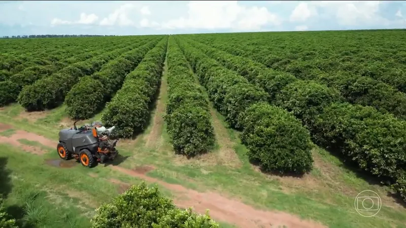 Agronegócio bate recorde com 28 milhões de empregos em 2025