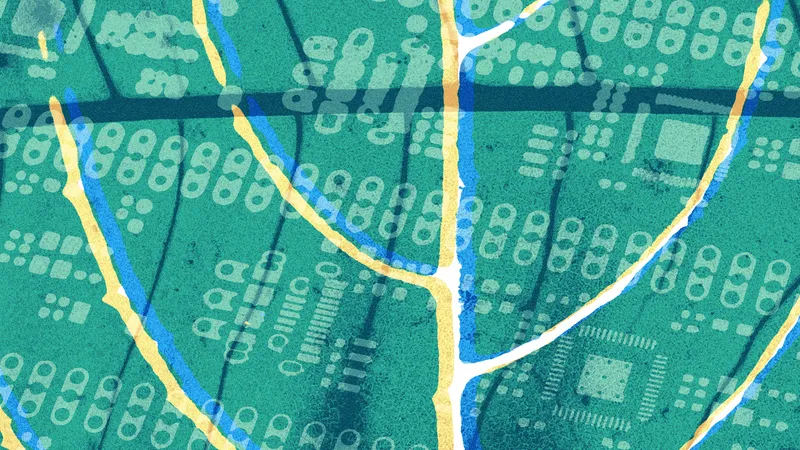 InternetLab investiga algoritmos que decidem quem acessa o CadÚnico